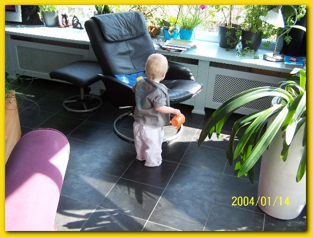 599x448 pixels (254K)